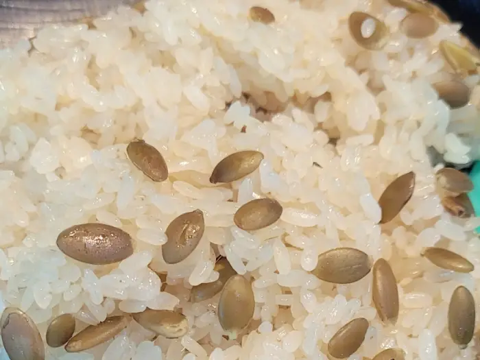 찰밥 위에 콩이 섞여 있는 모습. 찰지고 윤기나는 밥알 사이로 호박씨가 박혀 있어 고소한 풍미를 더할 것으로 보인다.