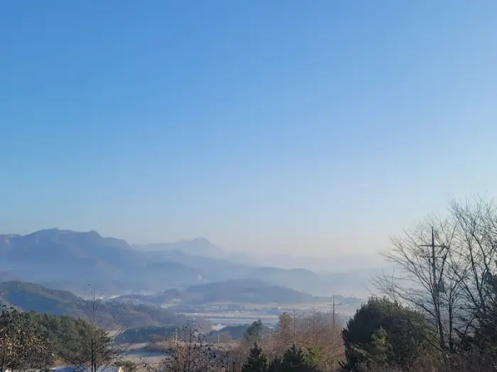 세계 지도와 와인 병들