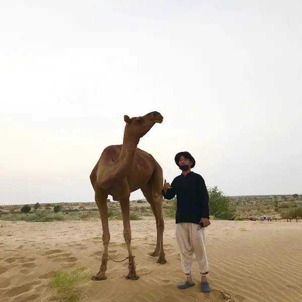 낙타와 함께 서 있는 사람