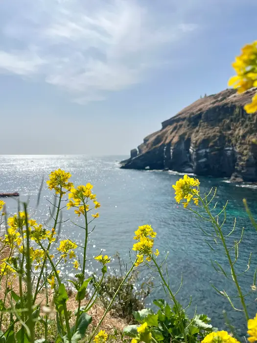 창밖으로 보이는 제주 바다와 절벽 풍경