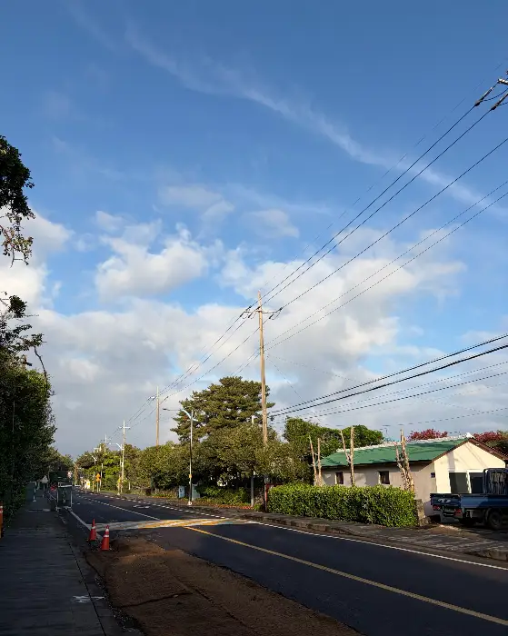 폴바셋 컵 홀더에 그려진 제주 일러스트