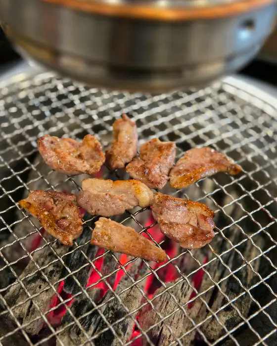 잘 구워져 육즙이 살아있는 오리고기 조각들