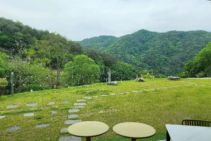 야외 잔디밭과 산 능선이 보이는 풍경