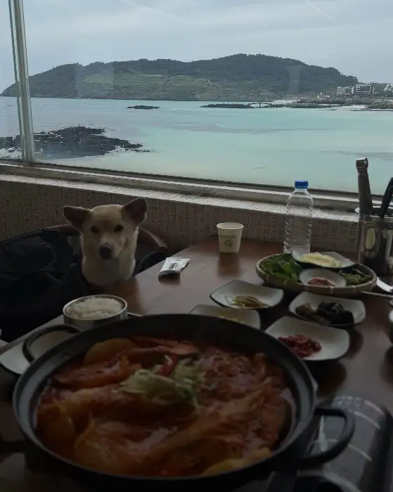 푸짐하게 차려진 갈치조림