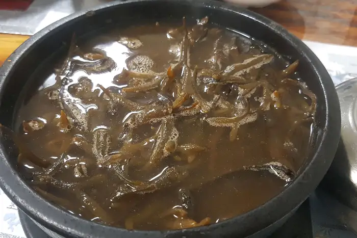 듬북국의 해초 모습