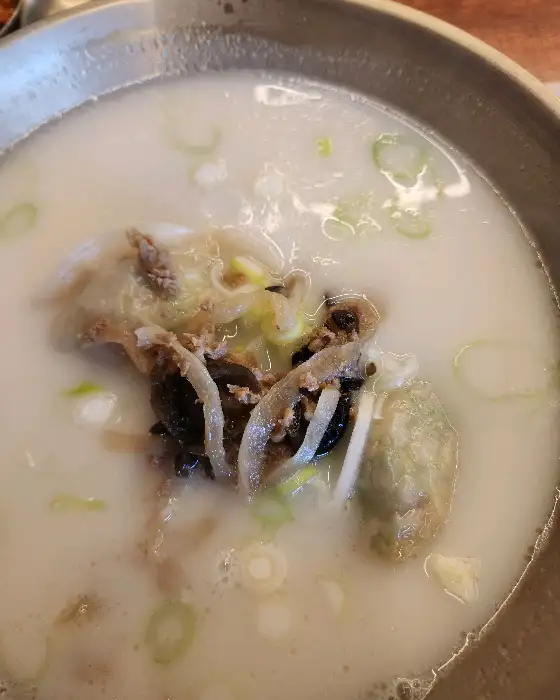 맑고 하얀 국물에 고기, 파, 만두가 들어간 만둣국 또는 곰탕의 모습