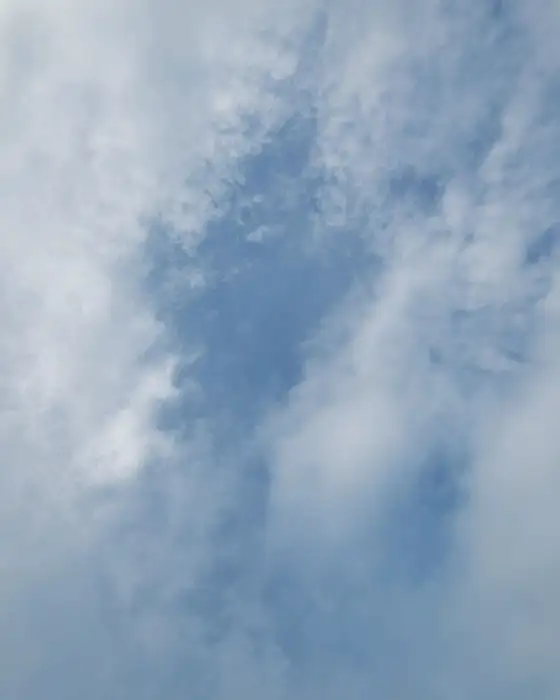 돼지갈비와 함께 주문한 양념돼지갈비