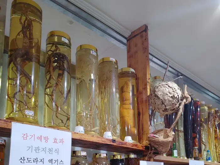 다양한 약초 담금주 병들