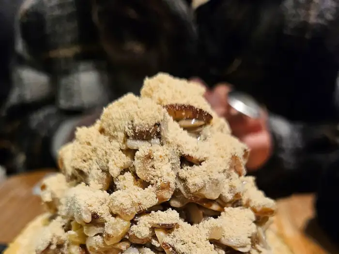 견과류 팥빙수 클로즈업