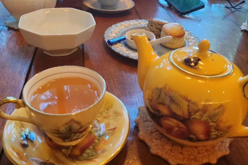 마르코 폴로 홍차