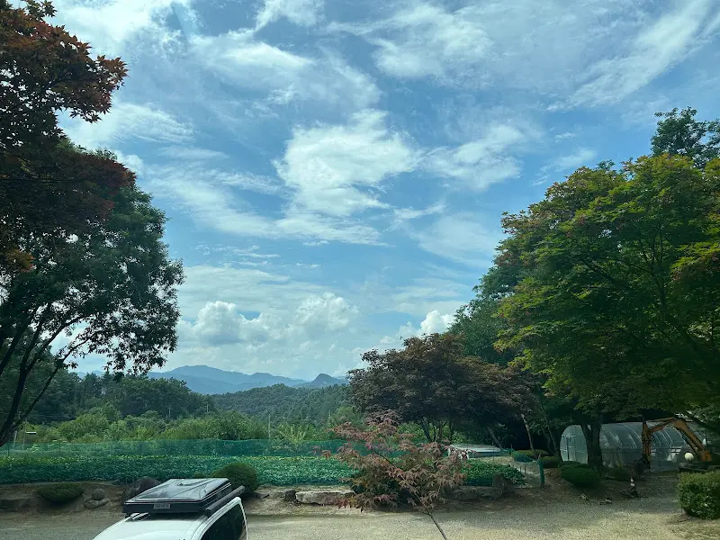 횡성송어횟집에서 바라본 풍경