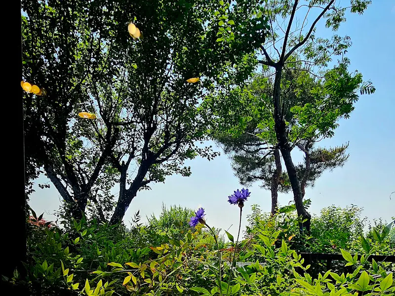 카페에서 바라본 정원 풍경