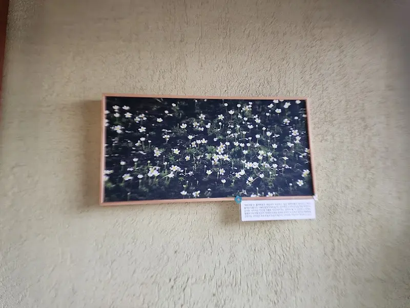 카페 내부 장식