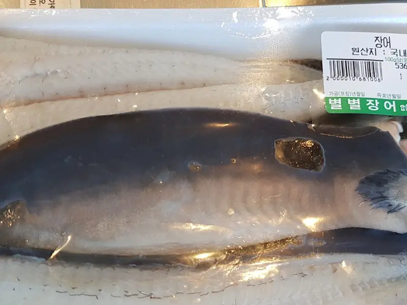 신선한 장어의 모습