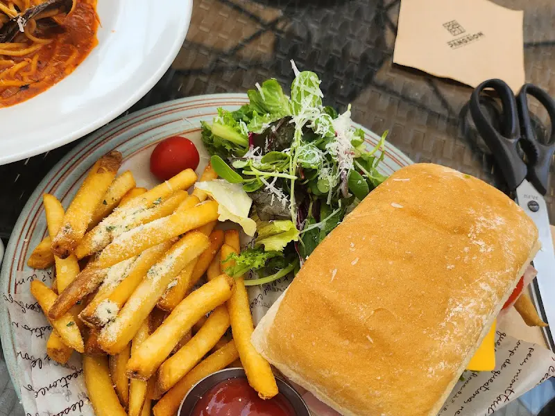 팡시온 야외 테이블과 고양이