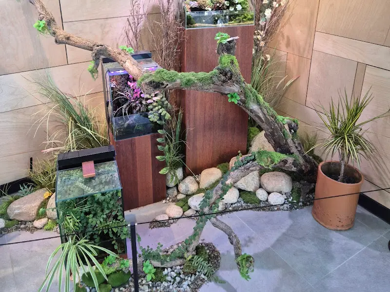 테라리움으로 꾸며진 대기 공간