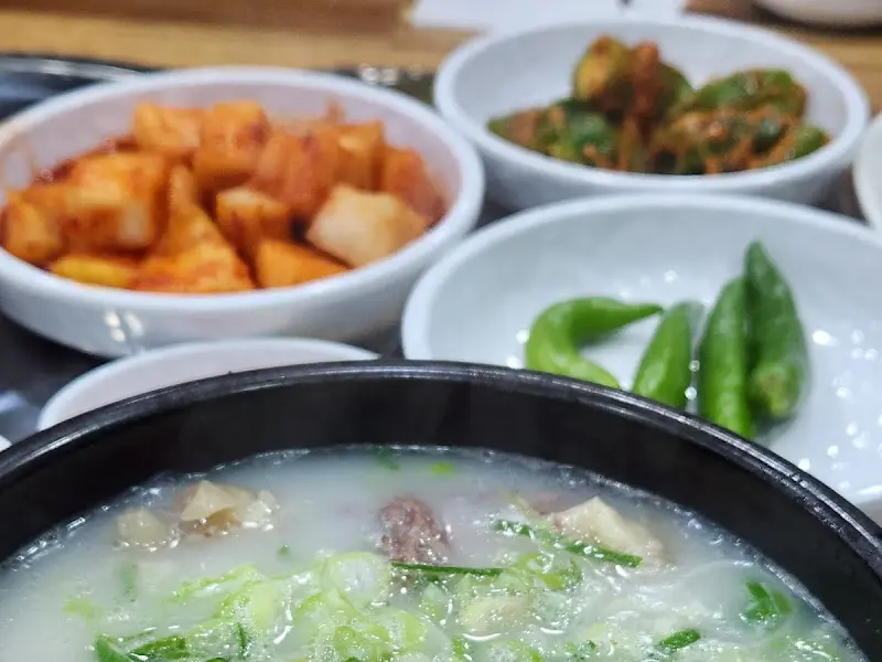 설렁탕과 함께 나온 깍두기, 고추 등 밑반찬