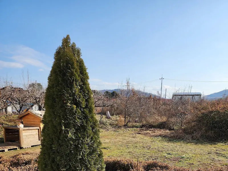 알바노 주변 풍경