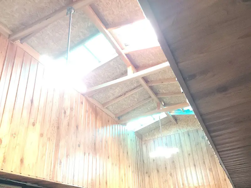 식당 내부 천장