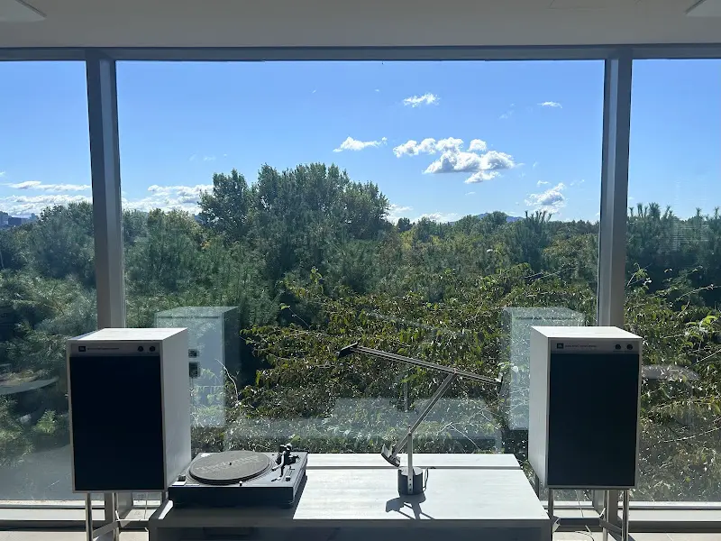 통창으로 보이는 서울숲 뷰