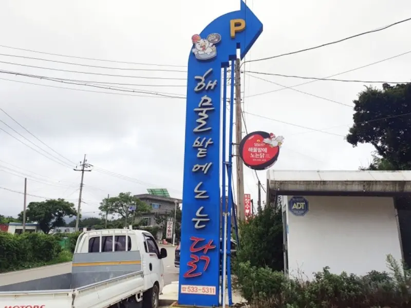 해뜰날에 노는 닭 간판