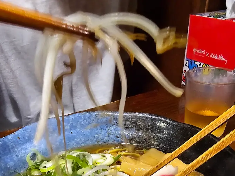 젓가락으로 면을 들어올린 모습