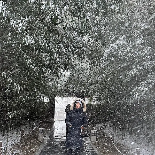 눈 내리는 황리단길