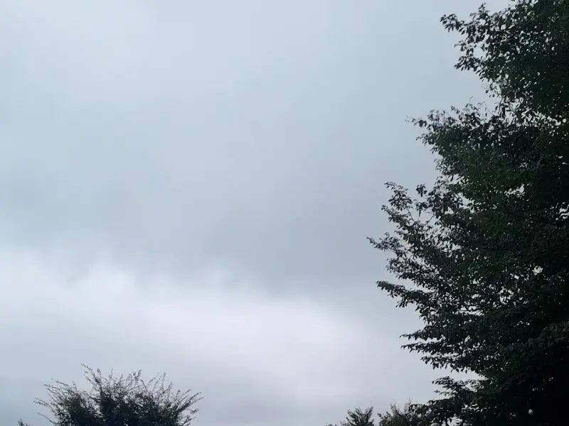 대숲골농원 주변 하늘