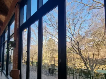 잊을 수 없는 맛! 제주 협재, 이끼에서 만난 푸짐한 통갈치 한상차림 여행