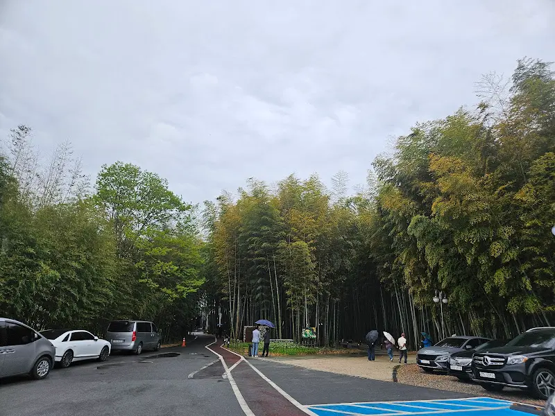 대숲골농원 주차장과 대나무 숲