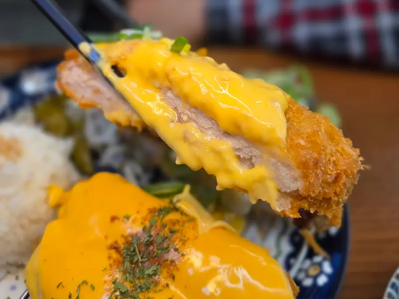 치즈가 듬뿍 올라간 반반카츠