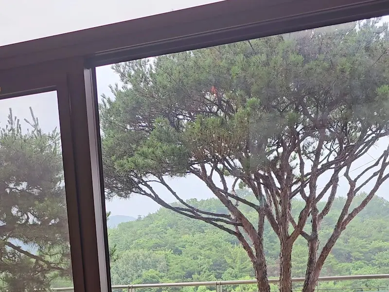 플레이팅이 돋보이는 해산물 요리