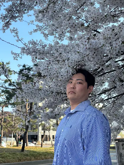 선흘곶 근처의 벚꽃