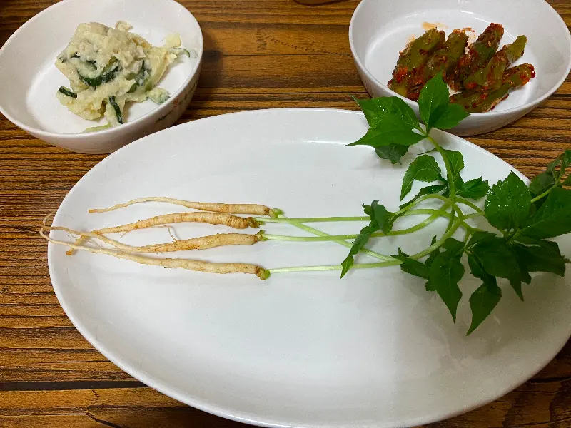 산양삼 클로즈업