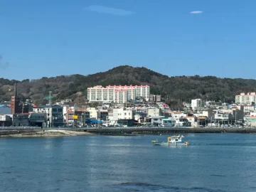 통영 바다를 품은 맛, 천지연횟집에서 만난 싱싱한 추억 맛집