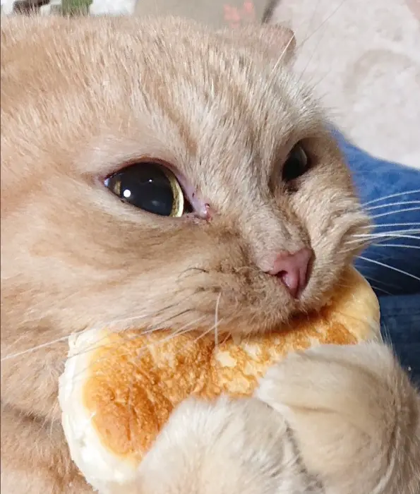 하이디라오 서초점의 풍성한 훠궈 한상차림