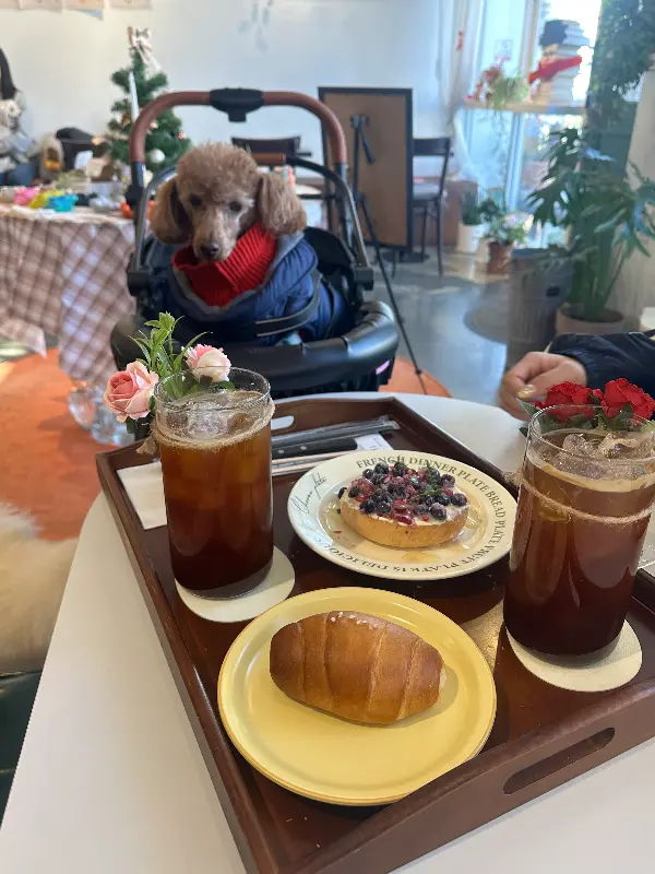 카페 내부 장식