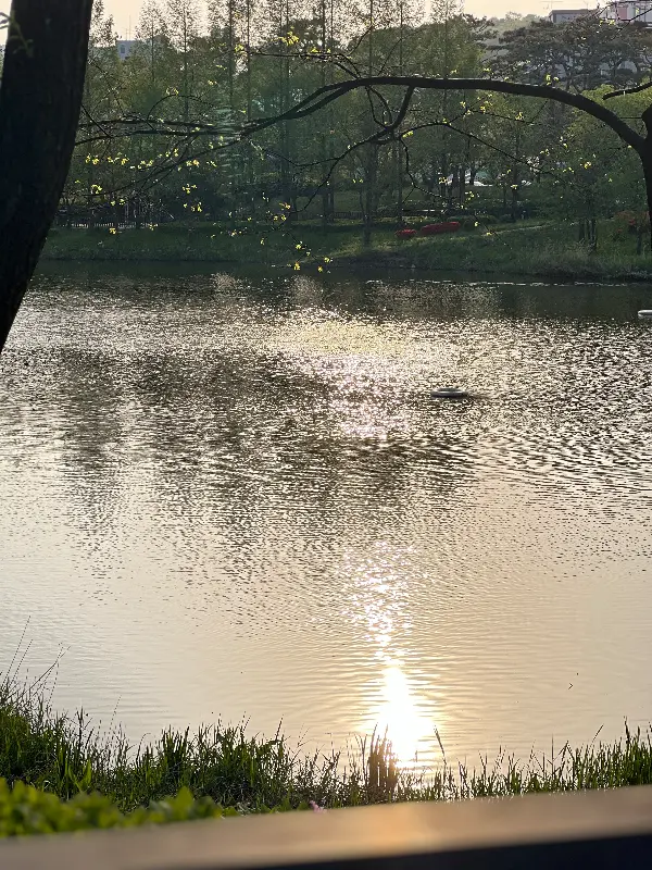 카페 근처 호수