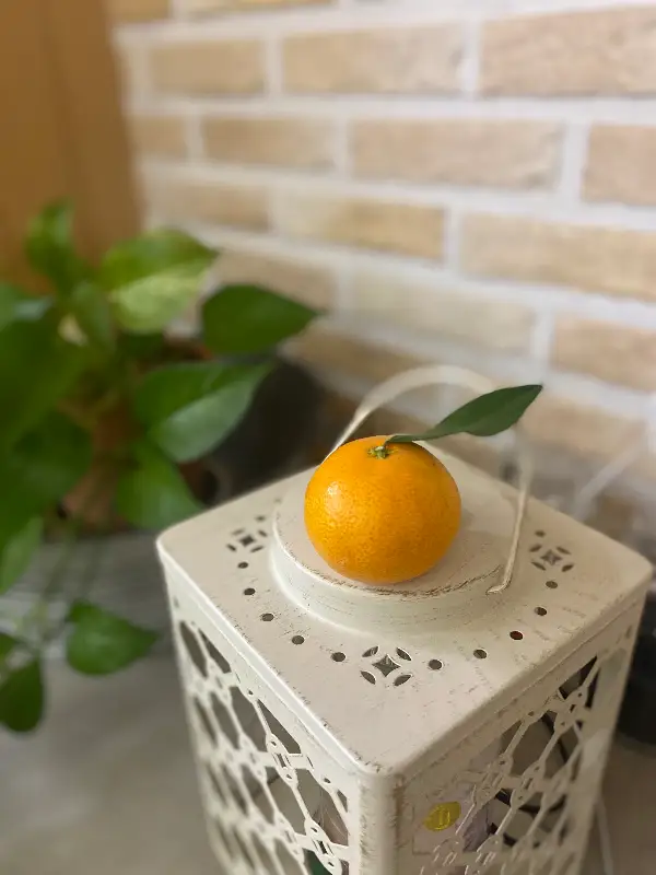 아기자기한 소품