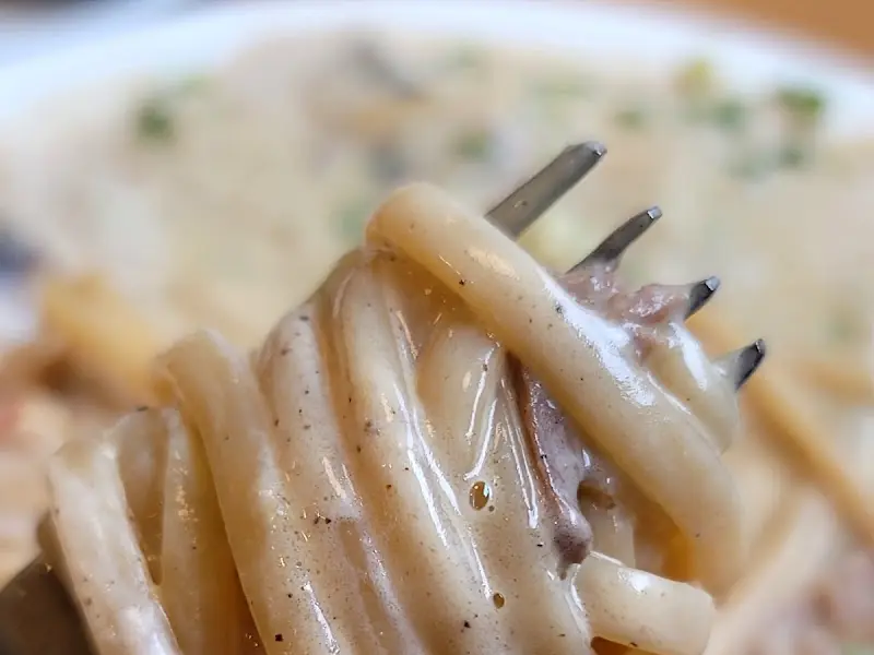 장조림 크림 파스타 근접샷