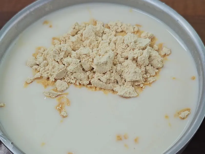 콩국수에 뿌려진 콩가루