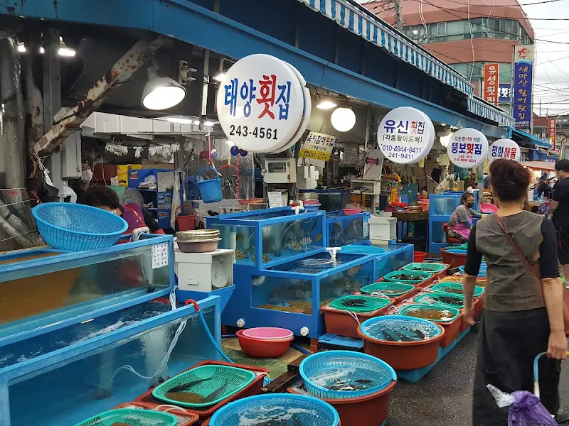 태양횟집 앞 수족관