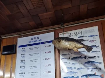 70년 노포의 깊은 맛, 인천 송미옥에서 맛보는 복중탕 레전드 스토리