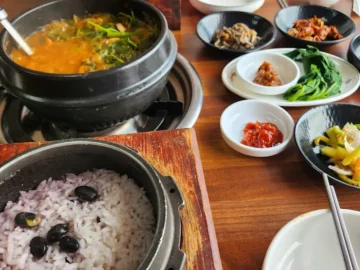 김제에서 숨겨진 보석을 찾았다! 신비가든에서 맛보는 환상적인 호수 전망 토종닭 요리 맛집
