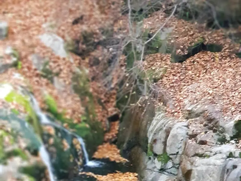 졸졸 흐르는 계곡물 소리가 힐링을 더해준다