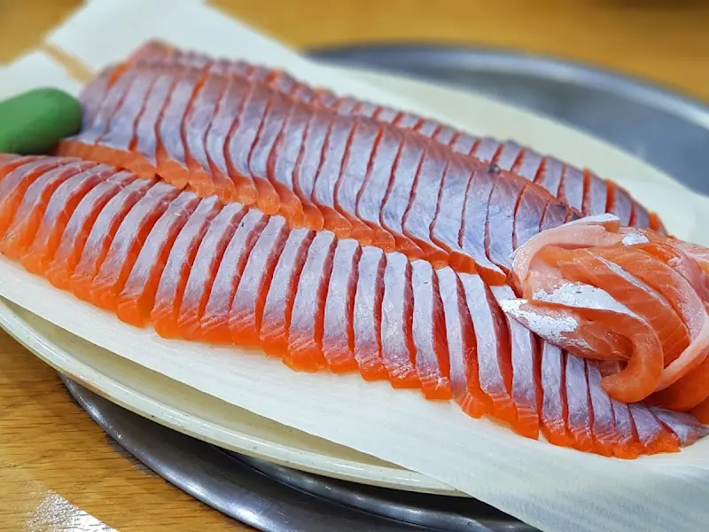 신선한 송어회 클로즈업