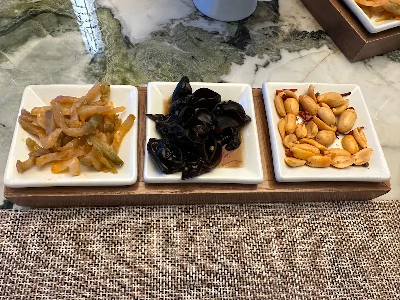 팔레드신 기본 세팅