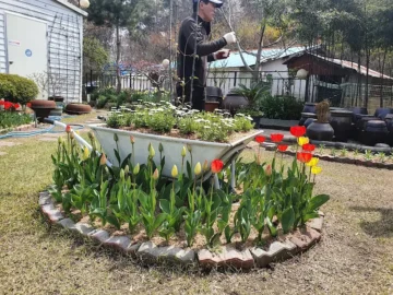 홍성 정원이 예쁜 녹두삼계탕 맛집, 여기 완전 보물 hidden place잖아!