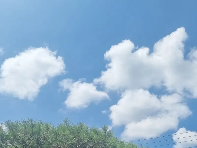 푸른 하늘과 뭉게구름이 어우러진 아름다운 풍경