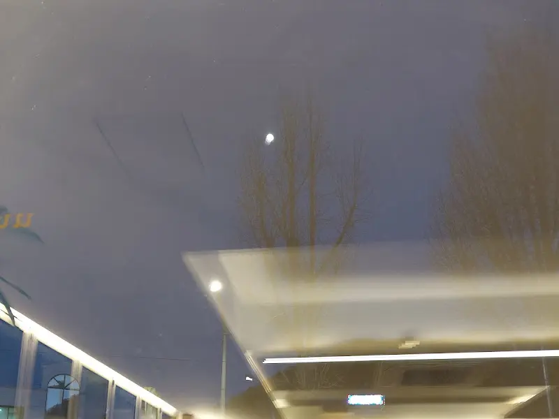 카페 내부에서 보이는 바깥 풍경